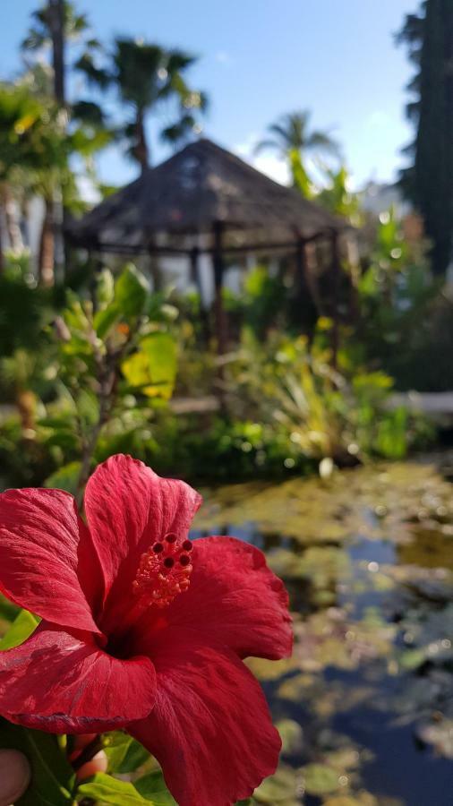 フエンヒロラApartamento Con Vistas Al Campo De Golf Y Piscinaアパートメント エクステリア 写真